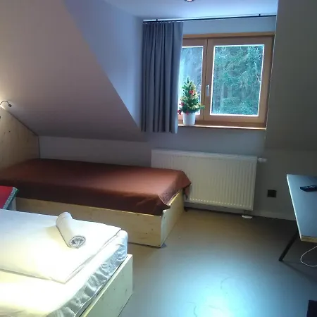 Berghotel Pohlberg 3*